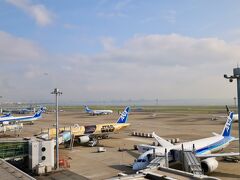 旅行の始まりは、毎度お馴染みの羽田空港第2ターミナルの展望デッキから。
本日も、青空のもと、ANA機がずらっと並んでいます。
国内専用のスターウォーズジェットも、まだ健在。
