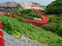 次は元乃隅稲成神社です。

コロナ明けから外国の人に人気が出て

今ではテレビなどで紹介され日本でも人気が出ています。

海まで続く赤い鳥居・・が幻想的だそうです。

言われると「鳥居の赤・新緑の緑・海の青」の

コントラストがいいですね！

関西の人は「京都の伏見稲荷大社」があるので

連続の赤鳥居は見たことがあるのでは。

でも伏見稲荷大社に海はない！！
