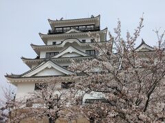 ちょうど桜が咲き誇る時期に行くことができたため、満開の桜と福山城の真っ白な天守閣とのいい写真を撮ることができました。