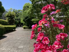 ホテル横は茅ヶ崎中央公園
楽しいオフを皆さん過ごしてます