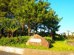 神奈川県立辻堂海浜公園