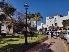 ハッブース街の広場。
ジャカランダの花が咲いています。