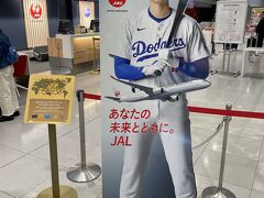 JALのカウンターには、広告に起用されているロサンゼルス・ドジャースの大谷翔平君とA350-1000の等身大パネルがありました。
これ欲しい！
ロサンゼルス・ドジャースはANAとスポンサー契約結んでいてJALは大谷翔平君だが、広告契約は継続でよかった！

この日5月17日は、ロサンゼルス市が大谷翔平の日に制定したとの事です。

FLY ON ステイタスのために今年もロサンゼルスまで大谷翔平君見た際に行こうかと悩んだが、昨年投打二刀流で見てるし円安で難しいな…