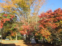 清滝駅の紅葉　清滝駅周辺の紅葉です。私の推薦する高尾山の紅葉名所（六か所）の一つの紅葉です