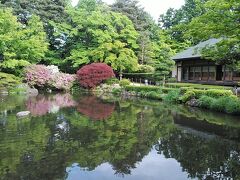 もみじ公園