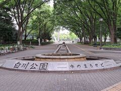 「名古屋市科学館」隣の「白川公園」。