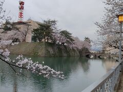 福井に戻って福井城跡内堀の桜を見ながら