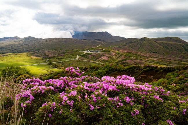 中岳、高岳方面です。<br />周辺の稜線にミヤマキリシマが群生しています。