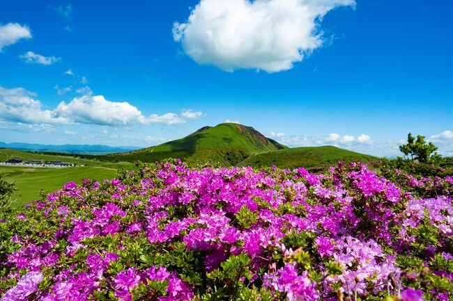 杵島岳を見ながら山を下ります。<br />