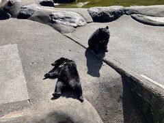 奥飛騨クマ牧場