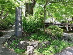 ●楽寿園

そしてこの旅の最後に、「三島駅」のすぐ南側に位置する名勝「楽寿園」を見学（入園料@300円）していくことに。
それにしても、新幹線停車駅のすぐ近くにもかかわらず、とっても緑豊かな空間になってますね～。

☆楽寿園ホームページ☆
　https://www.city.mishima.shizuoka.jp/rakujyu/