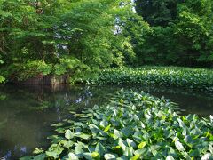 片倉城　湧水による池があります