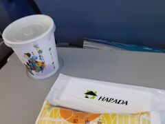 飛行機での移動