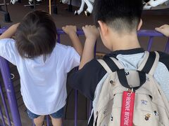 お次ホーンテッドに45分並んで出てきたらカルーセル15分待ちへ

子供とだと普段乗らないのにも乗れてちょっと新鮮