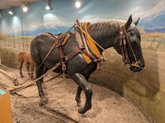 館内はとても狭かったです。
北海道開拓と馬の歴史、ばんえい競馬の歴史が勉強できました。
入場は無料でした。
ほぼ貸し切り状態、そりゃ、みんなばんえい競馬を見に来たのだから、歴史に興味はないわな。。。
20分くらい、見学したかな、結構楽しかったですよ。