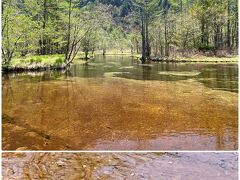 田代池です、
小さないわなが泳いでました♪