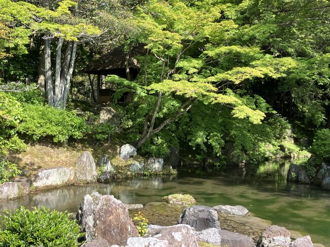桂離宮 桂離宮』(日本庭園の最高傑作)』嵐山・嵯峨野・太秦・桂(京都)の