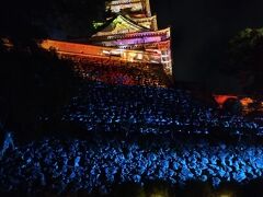 天守閣と「高知の青」を代表する仁淀川をイメージした仁淀ブルーで彩られた銀杏並木が見えます。