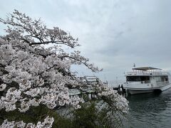4月8日
この春　2回目のお花見

海津大崎お花見クルーズ
今津港発
14:50→16:35
1人4000円