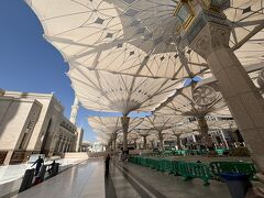 預言者のモスク、朝日を浴びて巨大な傘の花が開いていました。青空を背にズラリびっしり圧巻！！