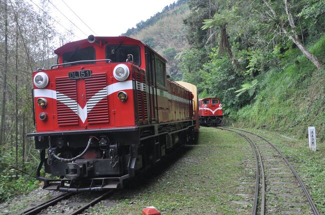 2024年5月台湾鉄道旅行5（阿里山森林鉄道後篇）』阿里山周辺