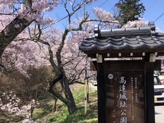 駐車場からかなり歩いて、登って、やってきました。高遠城址公園

とても沢山の人が居ました。

