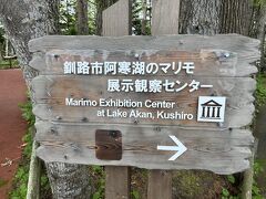 途中で「マリモ展示観察センター」にもよります。