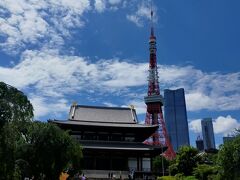 増上寺本殿東京タワーとのコラボ