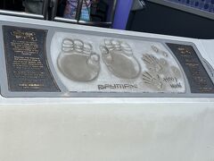 ベイマックスのハッピーライド
