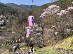 さくら祭りののぼりが盛り上げます。