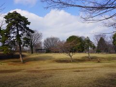 ●武蔵国分寺公園＠国分寺市役所界隈

「国分寺公園」だから、「国分寺跡」があるのかな？と思ったのですが、そうではなさそう…。
ここは、旧国鉄の「中央鉄道学園」、郵政省の戸建て宿舎の跡地を整備して、出来た公園のようです。災害の時の避難場所にもなっています。