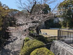 山頂の比治山公園へ。
広島の桜の名所で検索してヒットした公園ですが…やはりまだ満開には程遠いようです。