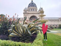 ＜翌日＞シティの北東側から観光を始めました。

メルボルン王立展示館
宿から数分の場所。カールトン庭園をぐるっと一周しました。この日は一段と肌寒く、天気も曇り。メルボルン博物館の常設展示を観たり、周囲を散策しました。

AUSは巨大な植物が多いです。
観葉植物で育てていたサンベリアと同品種になるのか不明ですが、ここまで大きくなるものかと驚きです。
