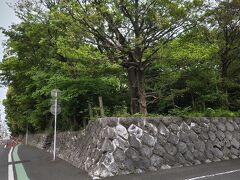 歩いて浜松八幡宮へ