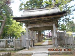 公園内の三大桜というのがあって、このあたりの
お寺で見られるはずなのですが。
このへんにはお寺が幾つかあって、探していたら、
迷ってしまった！

ここは『法源寺』山門。（重要文化財）
推定17世紀建造。
北海道の現存する寺社建築として最古の類に属し、造りも良い。
松前地方の古い建築様式を知る上で貴重なものであり、
北海道の中世建築様式を代表する建造物。
明治維新の戦乱で焼失し、その後再建されました。


