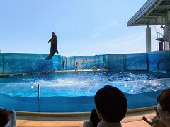新江ノ島水族館の館内。イルカショーを鑑賞。
