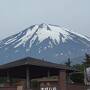 ２０２４年５月　山梨・伊豆　その２　伊豆