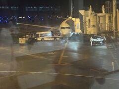 20分遅れで那覇空港到着。土砂降りかと思ったら、そうでもない。
