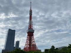 芝公園で座りながら眺めます。