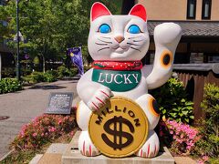 招き猫もインバウンド仕様…