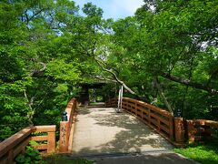 ん…。
桜の名所に初夏来ても何も無い。
もちろん城址公園なので城も特になく。