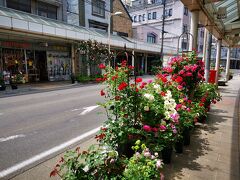 伊那市はバラを育てる運動実施中なのか、街中のあちこちでバラを見かけます。素敵。