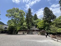 神社の後は
吉野名物の柿の葉すしをお土産に帰りました
