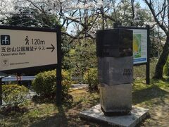 今まで来たことがなかった高知市内が一望できる五台山に来ました。NHKの朝ドラで有名になった牧野博士の植物園に行くことで、その存在に気が付きました。