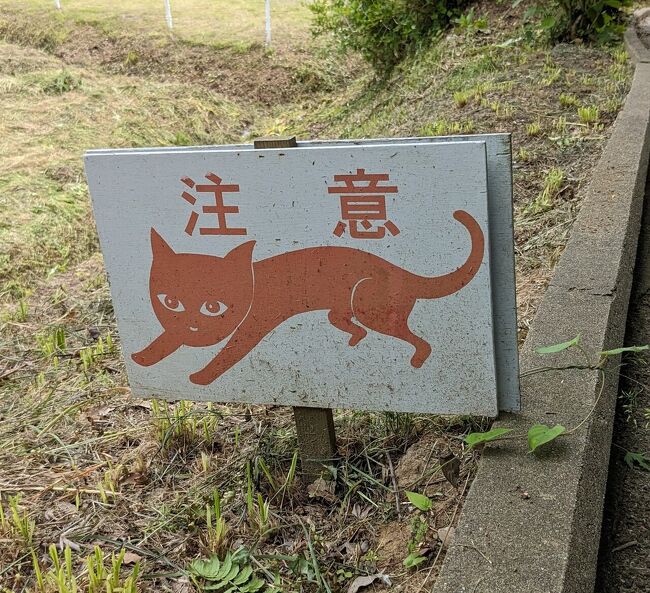 松山庭園美術館と小江戸佐原と香取神宮①』佐倉・四街道(千葉県