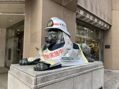 札幌三越ライオンは火災予防週間で、消防士ふうに