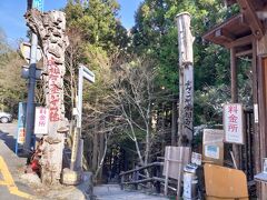 かかしの里から10分弱で、奥祖谷二重かずら橋に到着。
西祖谷と奥祖谷にそれぞれかずら橋があることを、前日にエディで知った私。

駐車場は無料、入場料は550円。