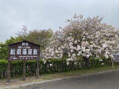 1時間ほどドライブ
松前に到着
桜まつり開催中で駐車場が松前藩屋敷の方に誘導されました。
看板がたくさんあってわかりやすかったです。