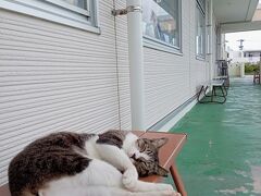 のんびりムード •*¨*•.¸¸♬︎
