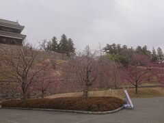 長野から高速に乗って1時間くらいで上田市の上田城址公園に到着。公園には北と南にかなり広い駐車場があります。